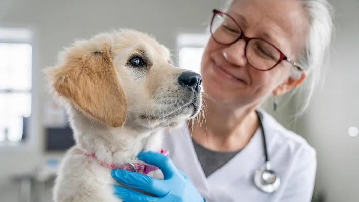 Banfield Pet Hospital 12
