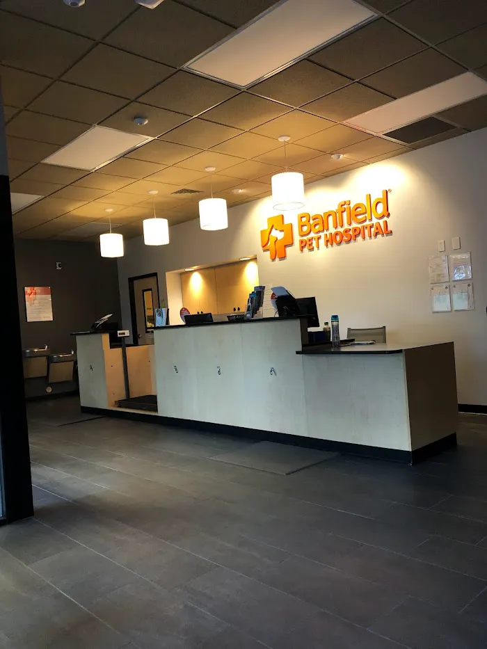 Banfield Pet Hospital 12