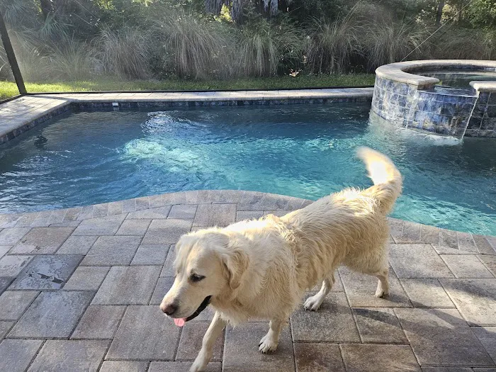 Sabal Palm Animal Hospital 12