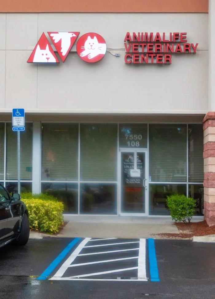 The Animalife Veterinary Center at Mission Hills 12