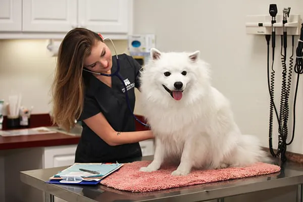 The Animalife Veterinary Center at Mission Hills 12