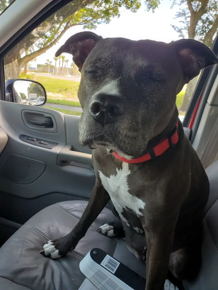 Naples Coastal Animal Hospital 12