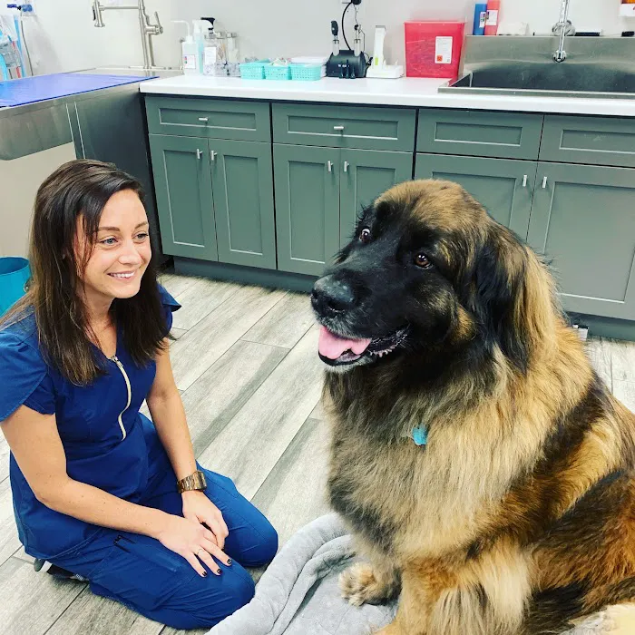 Naples Coastal Animal Hospital 12