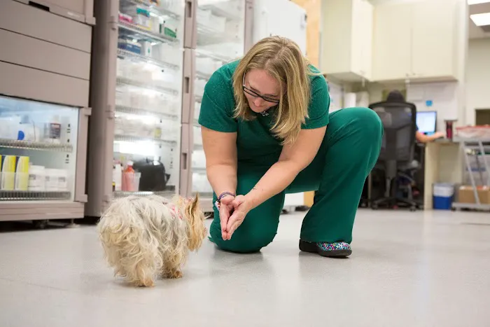 Specialists in Companion Animal Neurology (SCAN) - Naples 12