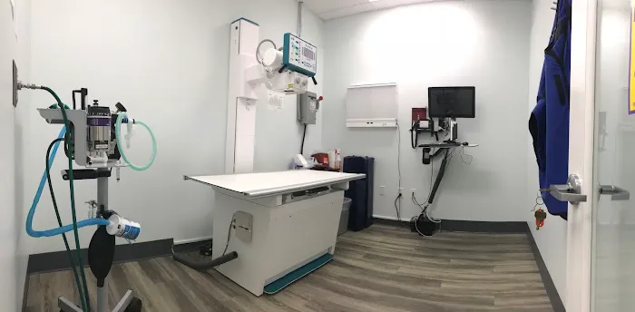 Specialists in Companion Animal Neurology (SCAN) - Naples 12