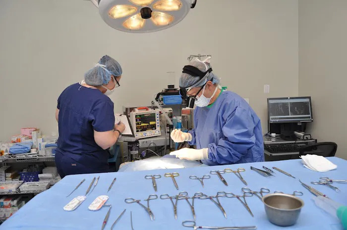 Specialists in Companion Animal Neurology (SCAN) - Naples 12