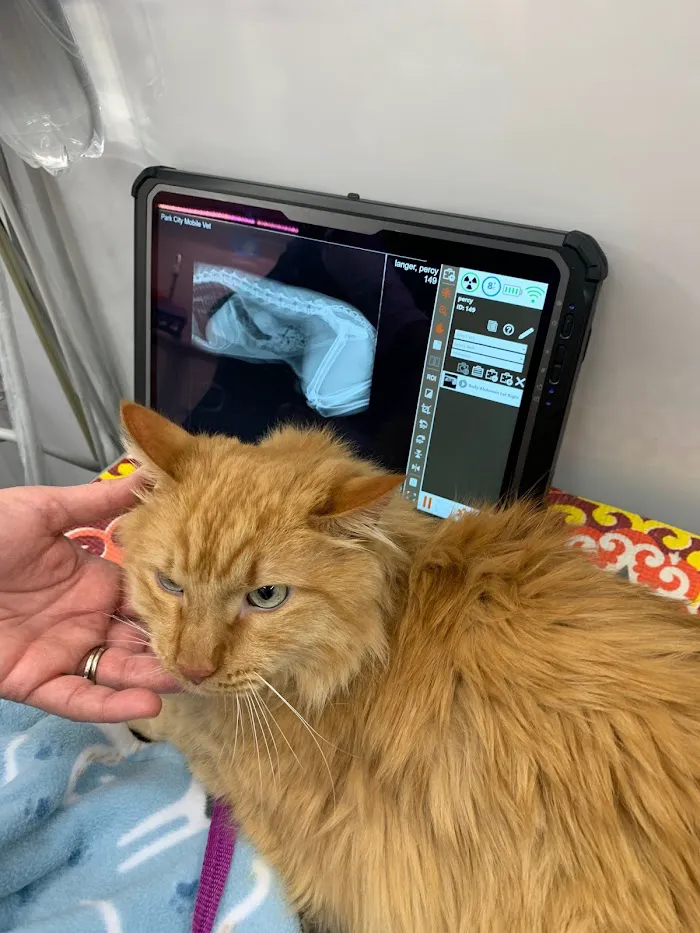 NAPLES MOBILE VET CLINIC, LLC 12