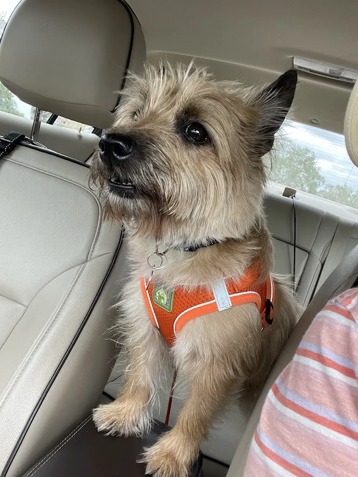 NAPLES MOBILE VET CLINIC, LLC 12