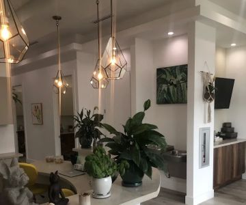 Harmony Animal Hospital