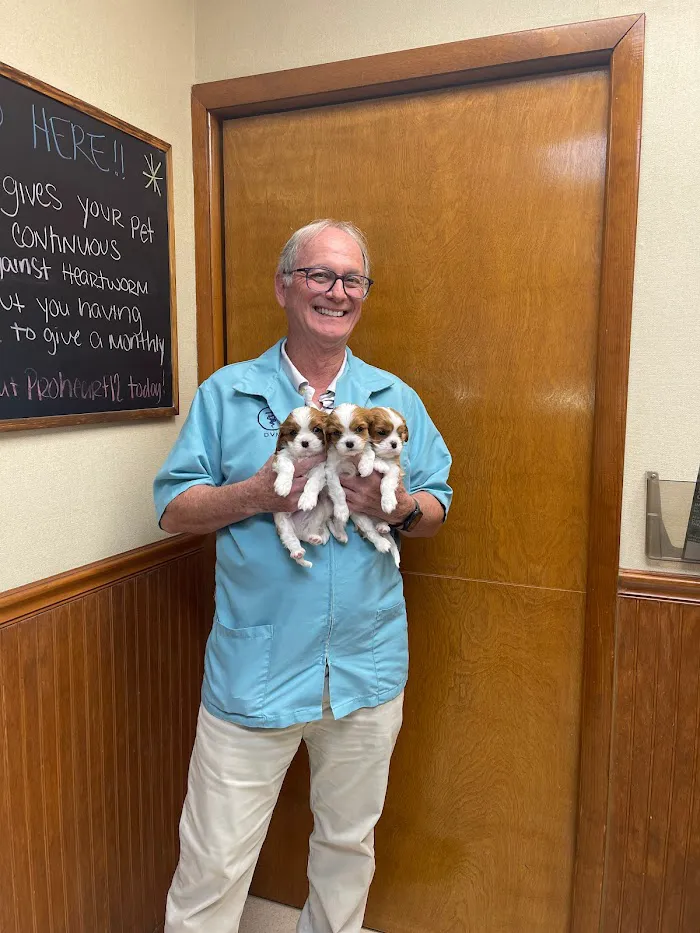 Golden Gate Animal Clinic Inc 12