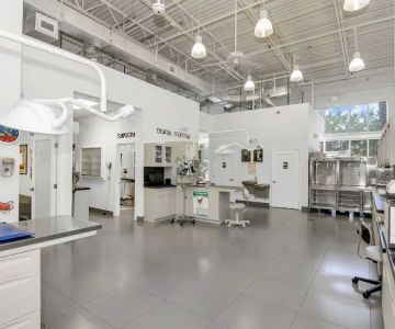 Concierge Veterinary Hospital