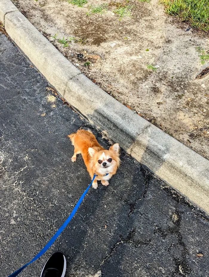 Concierge Veterinary Hospital 12