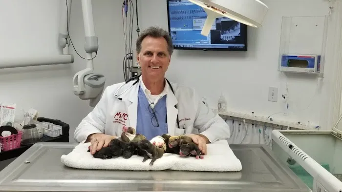 The Animalife Veterinary Center 12