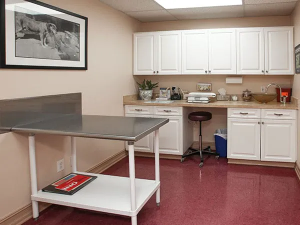 The Animalife Veterinary Center 12