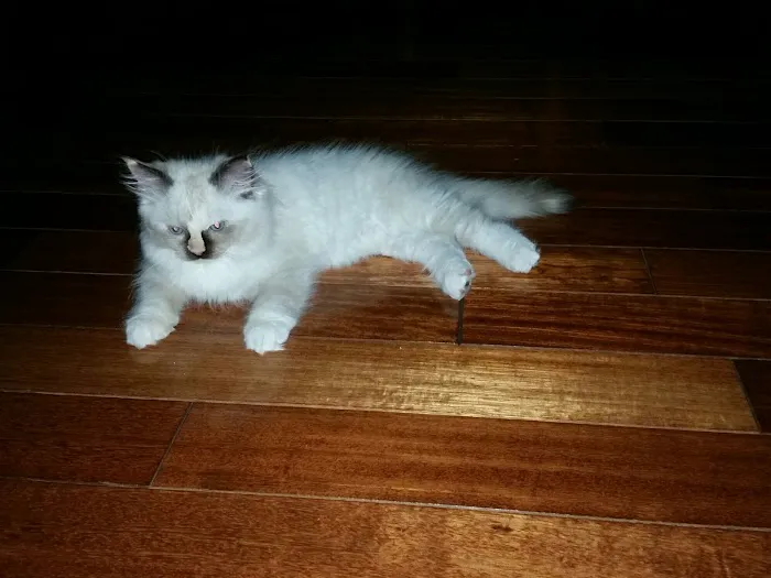 Marquesa Veterinary Clinic 12