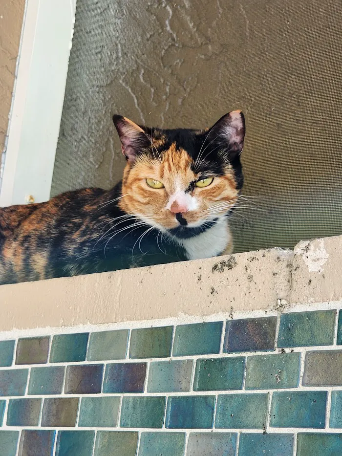 Marquesa Veterinary Clinic 12
