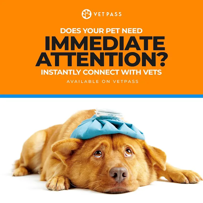 VETPASS 12