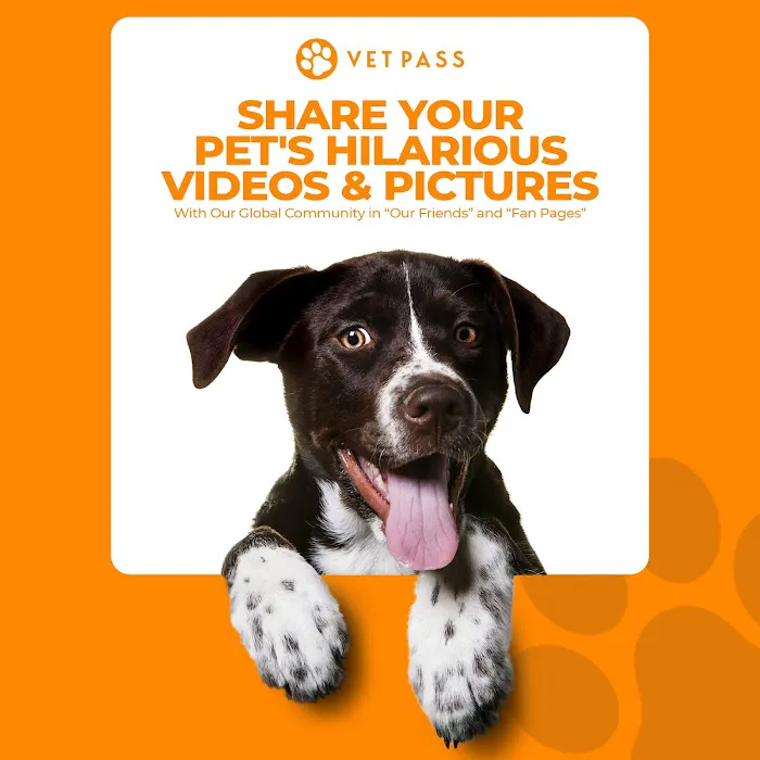 VETPASS 12