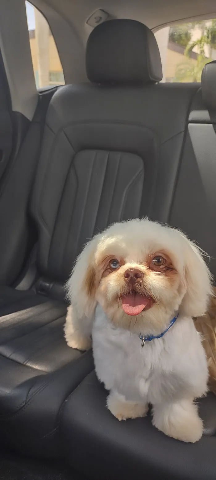 San Carlos Park Animal Hospital & Urgent Care 12