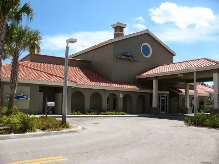 Estero Animal Hospital 12
