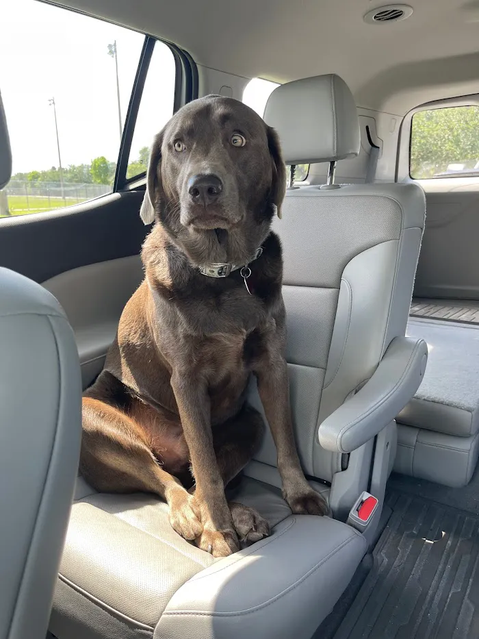Estero Animal Hospital 12