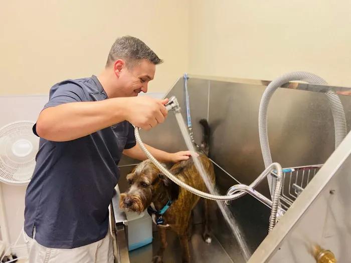 Grace Veterinary Center 12