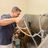 Grace Veterinary Center ico