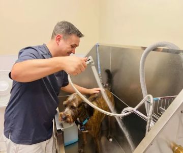 Grace Veterinary Center