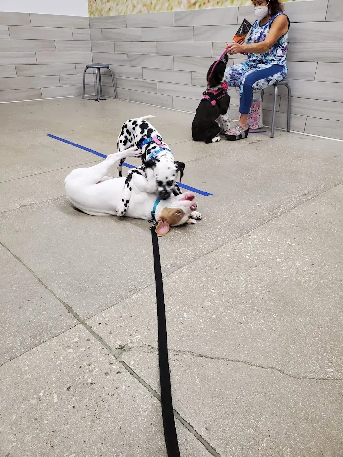 Banfield Pet Hospital 12