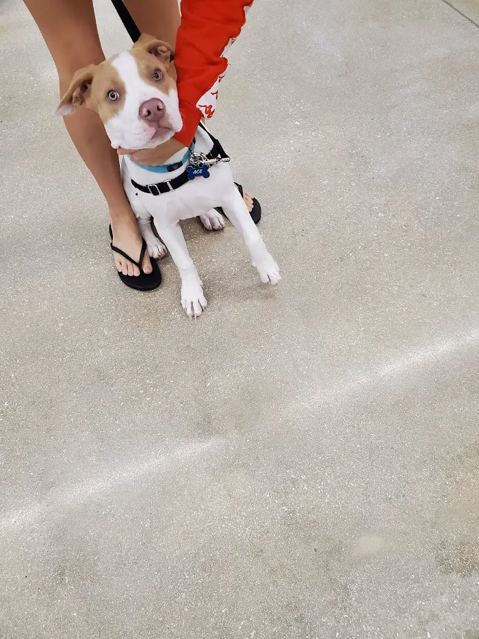 Banfield Pet Hospital 12