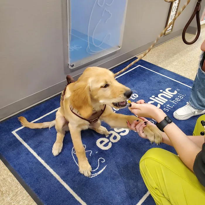 easyvet Veterinarian Estero 12