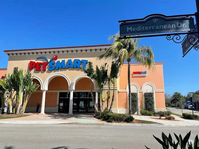 easyvet Veterinarian Estero 12