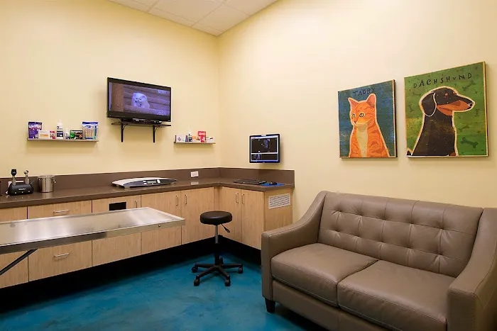 Animal Oasis Veterinary Hospital 12