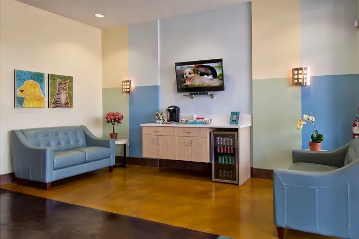 Animal Oasis Veterinary Hospital 12