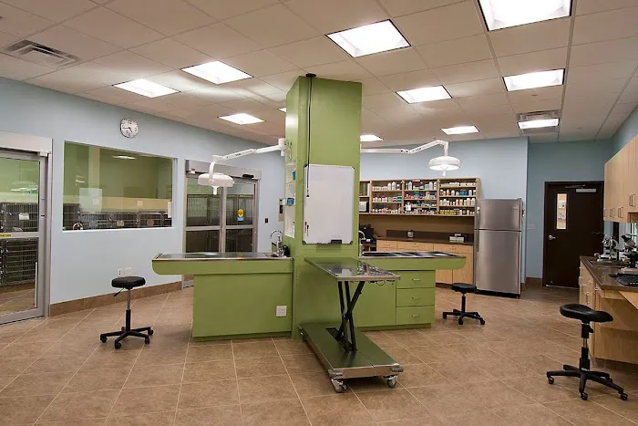Animal Oasis Veterinary Hospital 12