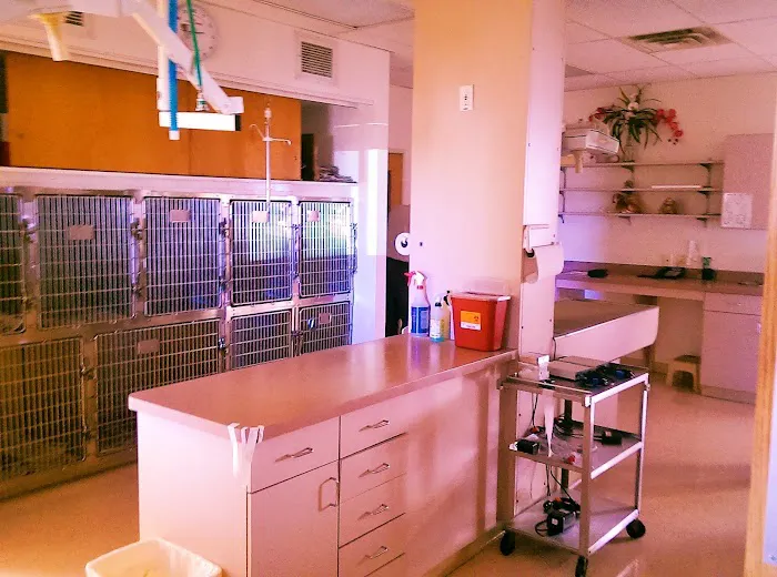 Animal Hospital of Bonita and Boarding 5