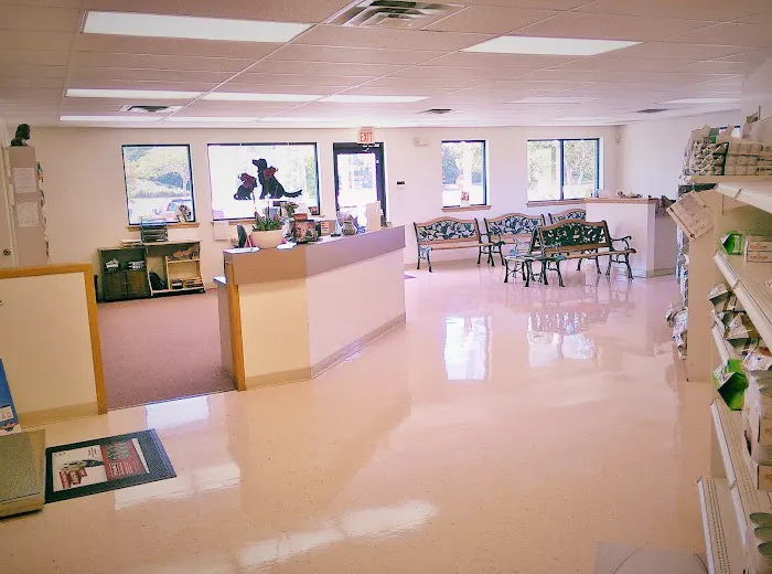 Animal Hospital of Bonita and Boarding 10