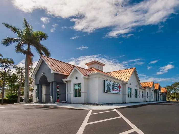 Collier Animal Referral + Emergency 12