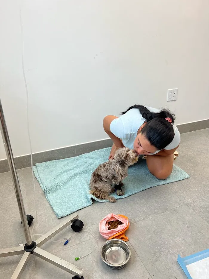 Collier Animal Referral + Emergency 12