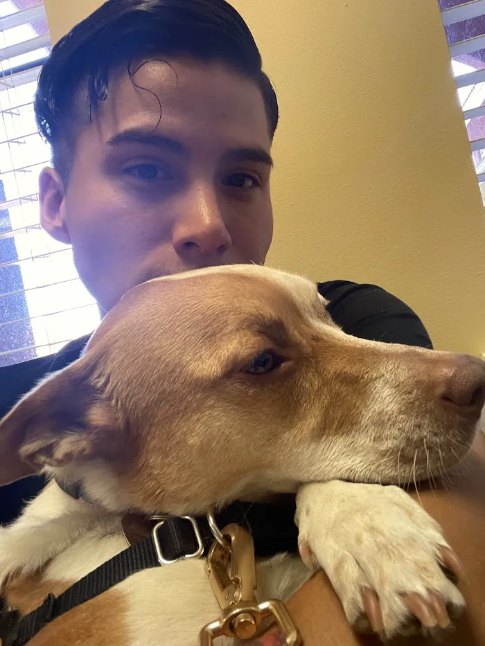 Emergency Pet Hospital Of Collier County 12