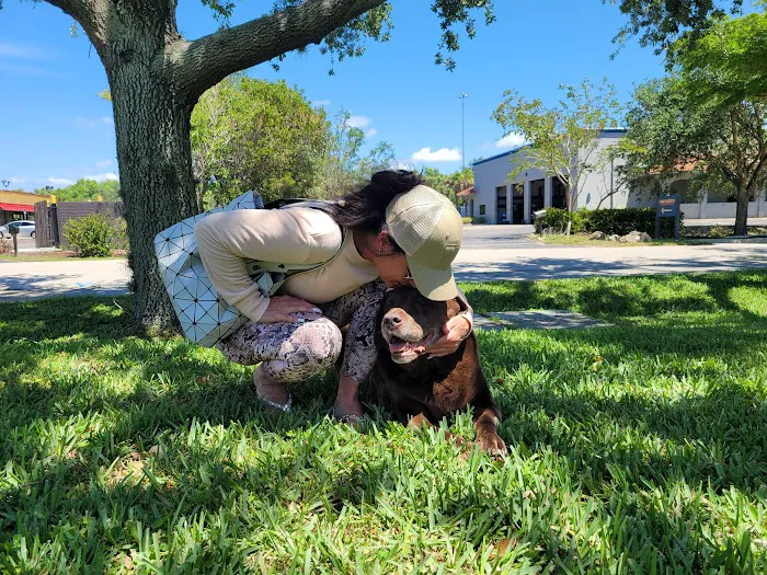 Emergency Pet Hospital Of Collier County 12