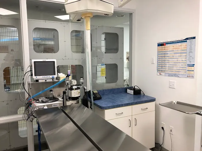 North Naples Veterinary Hospital 12