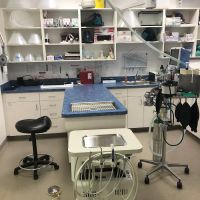 North Naples Veterinary Hospital ico