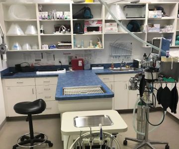 North Naples Veterinary Hospital