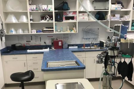 North Naples Veterinary Hospital