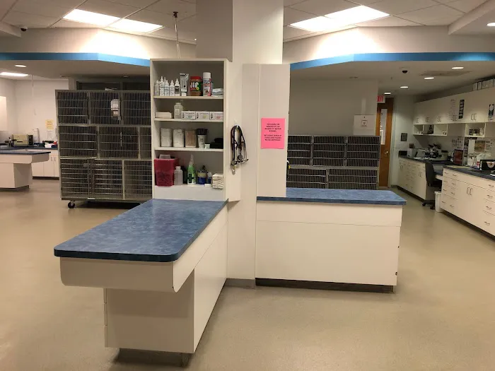 North Naples Veterinary Hospital 12