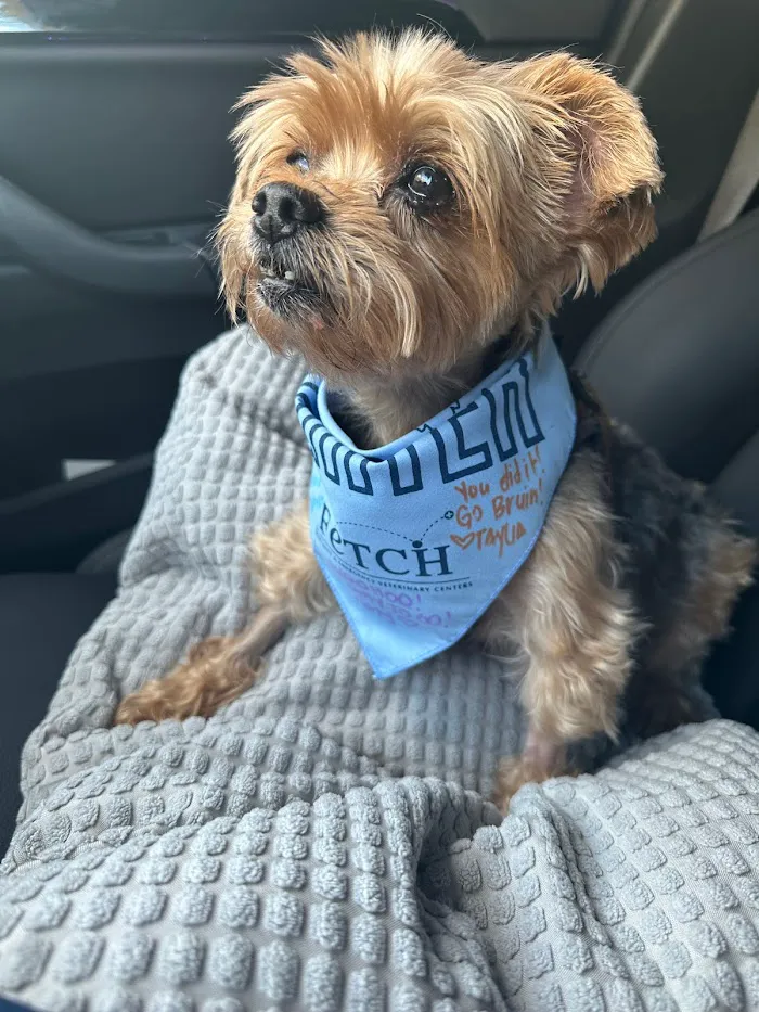 Fetch Specialty & Emergency Veterinary Centers - Bonita Springs, FL 12