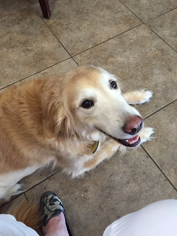 Fetch Specialty & Emergency Veterinary Centers - Bonita Springs, FL 12