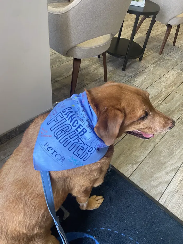Fetch Specialty & Emergency Veterinary Centers - Bonita Springs, FL 12