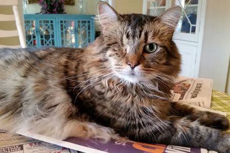 Fetch Specialty & Emergency Veterinary Centers - Bonita Springs, FL